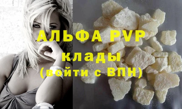 СК Строитель